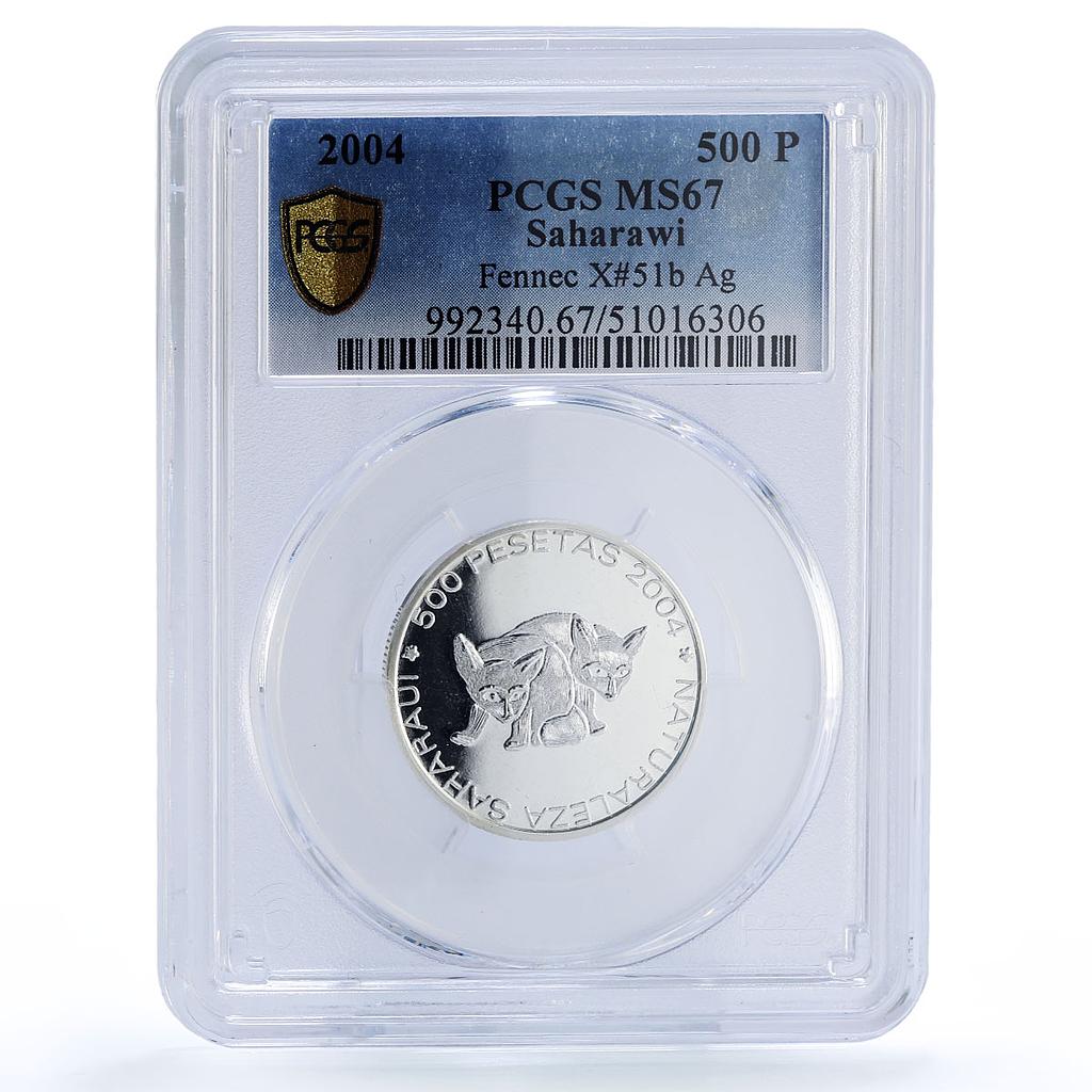 Saharawi 500 pesetas Fennec Foxes Sahara Nature Fauna MS67 PCGS silver coin 2004