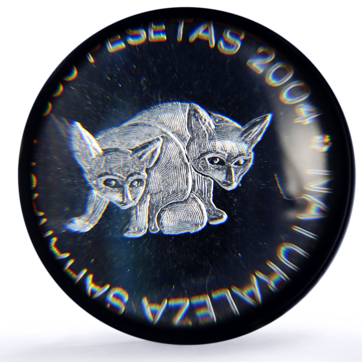 Saharawi 500 pesetas Fennec Foxes Sahara Nature Fauna MS67 PCGS silver coin 2004