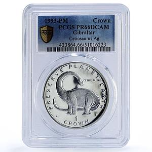 Gibraltar 1 crown Cetiosaurus Preserve Dinosaurs PR66 PCGS silver coin 1993