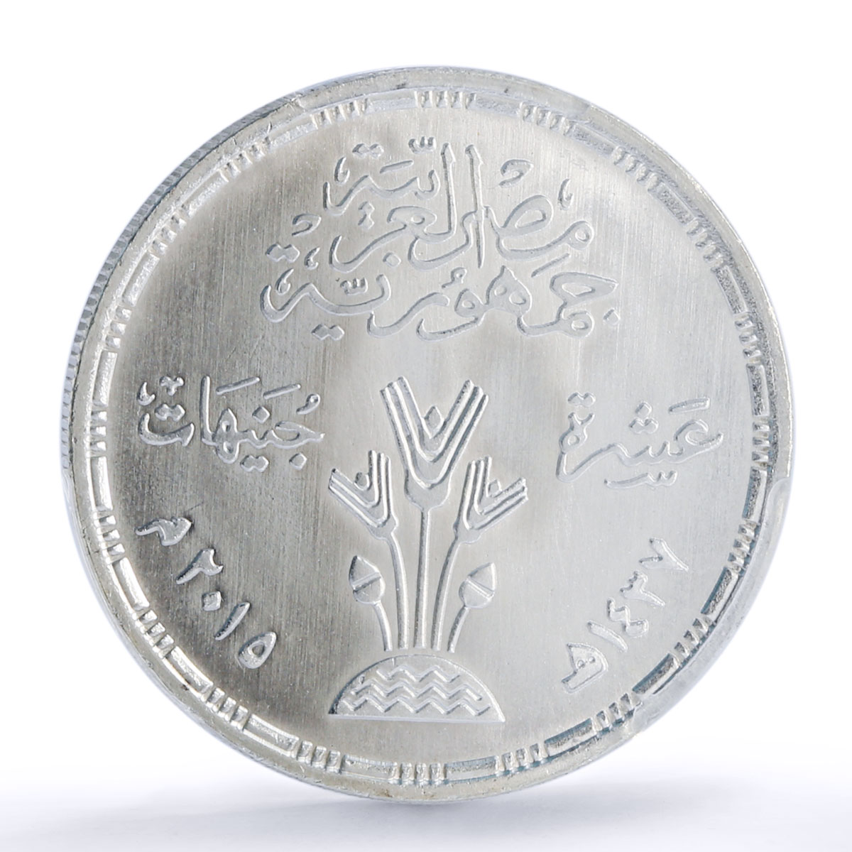 Egypt 10 pounds FAO World Food Day 70th Anniversary MS68 PCGS silver coin 2015