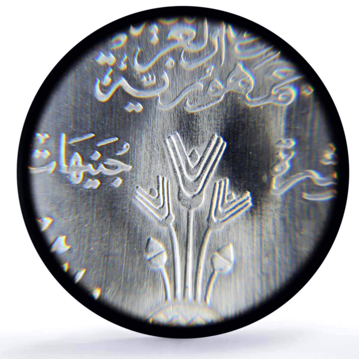 Egypt 10 pounds FAO World Food Day 70th Anniversary MS68 PCGS silver coin 2015