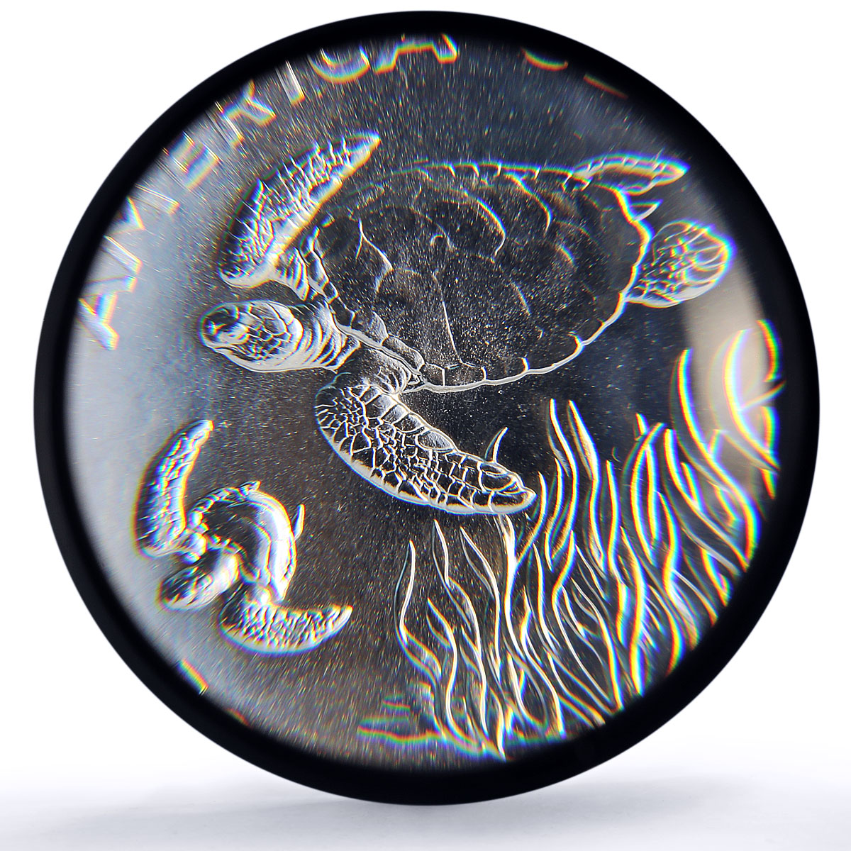 Costa Rica 50 colones Green Turtle Conservation Fauna MS69 PCGS silver coin 1974