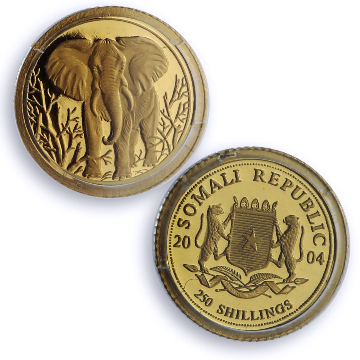 Somalia 250 shillings Elephant African Wildlife Fauna PR69 PCGS gold coin 2004