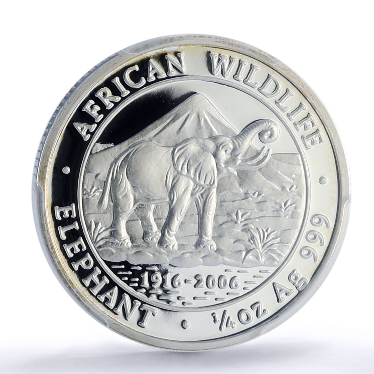 Somalia 250 shillings Elephant African Wildlife Fauna PR70 PCGS silver coin 2006