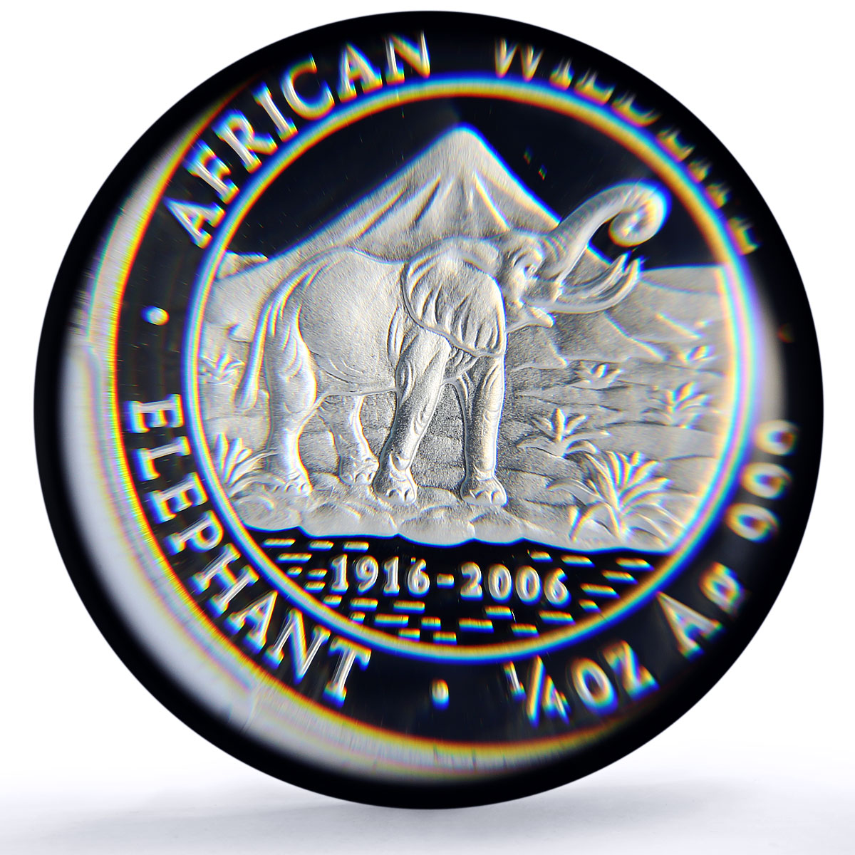 Somalia 250 shillings Elephant African Wildlife Fauna PR70 PCGS silver coin 2006
