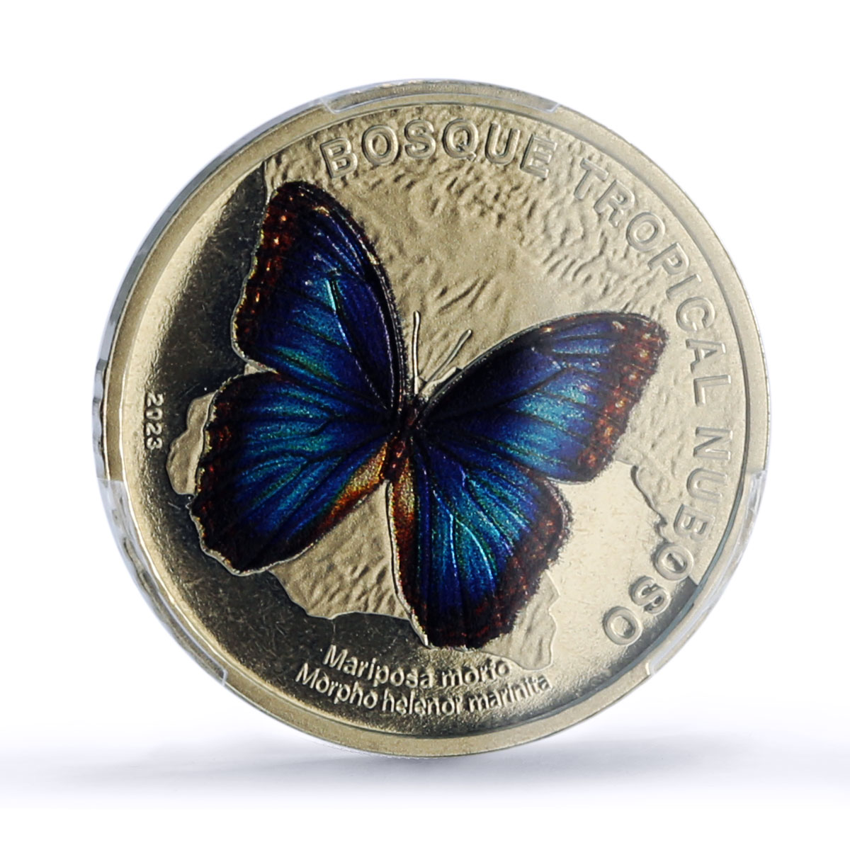 Costa Rica 50 colones Menelaus Blue Morpho Butterfly Fauna PR67 PCGS coin 2023