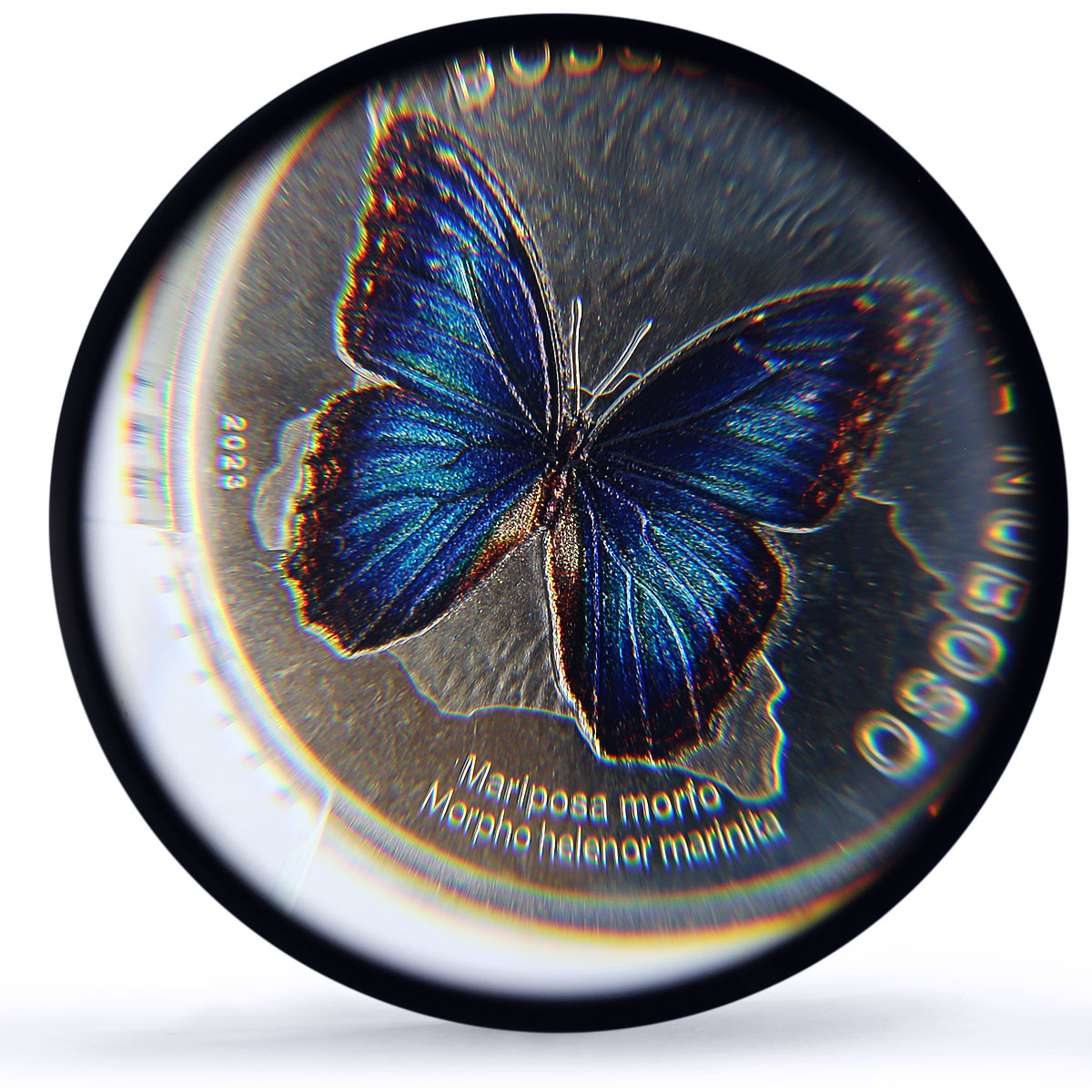 Costa Rica 50 colones Menelaus Blue Morpho Butterfly Fauna PR67 PCGS coin 2023
