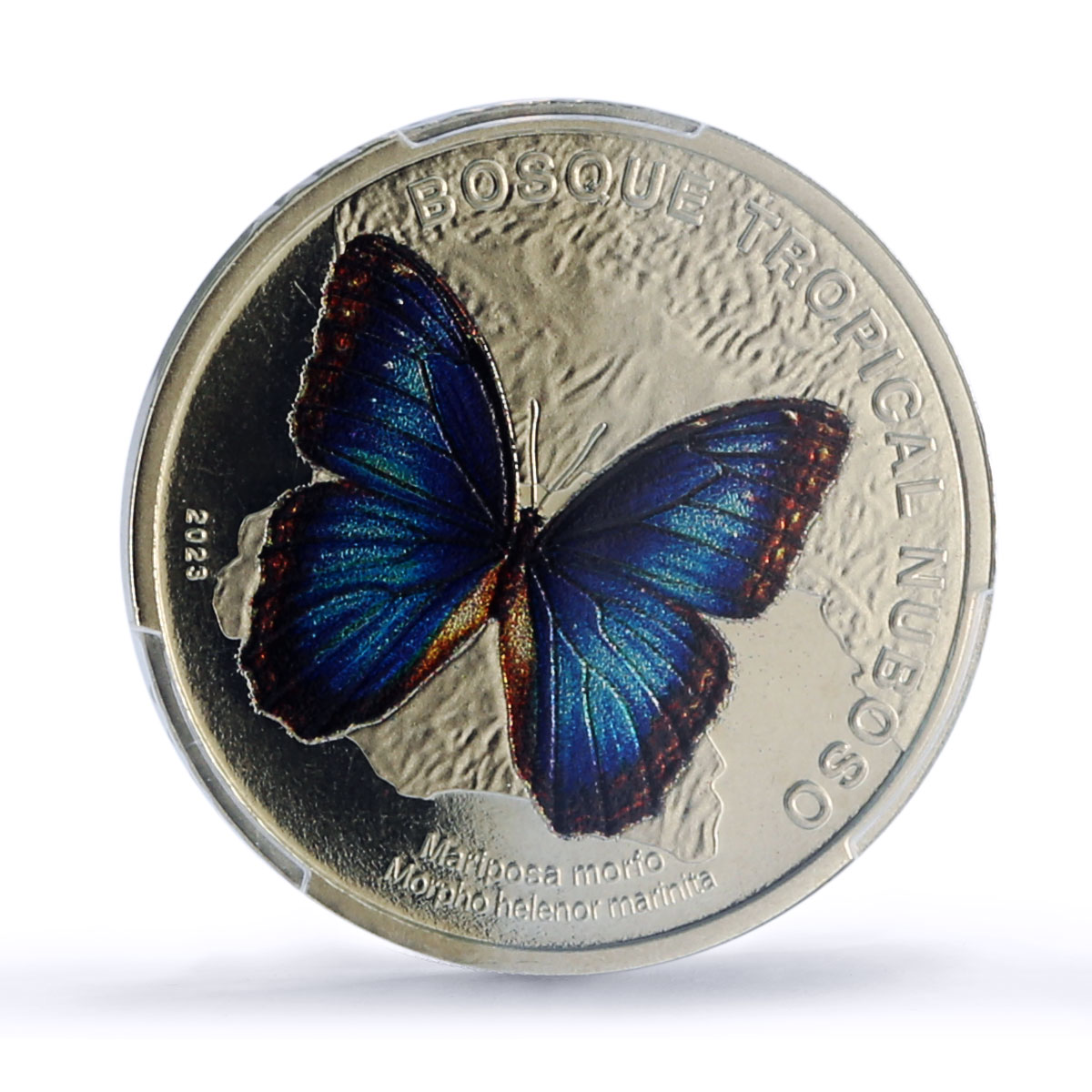 Costa Rica 50 colones Menelaus Blue Morpho Butterfly Fauna PR69 PCGS coin 2023