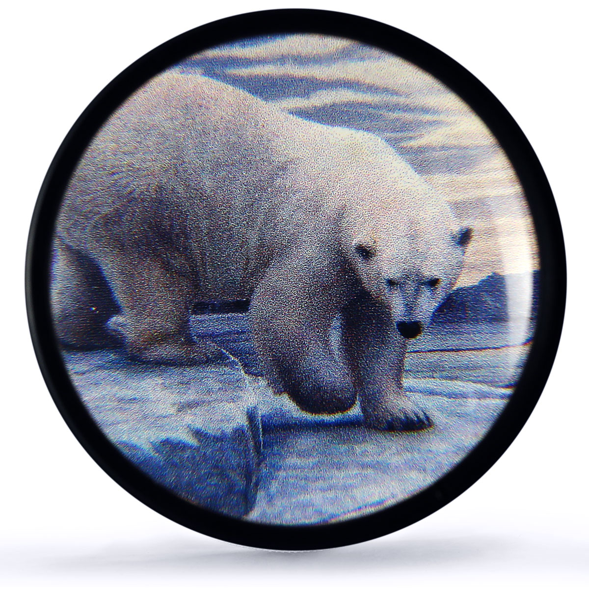 Canada 30 dollars Polar Bear Arctic Animals Fauna PR70 PCGS silver coin 2018