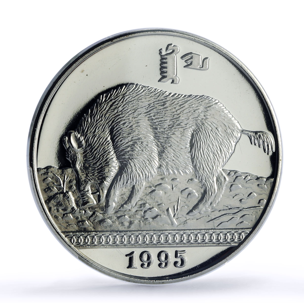Mongolia 50 togrog Pig Boar Year Lunar Calendar PR68 PCGS CuNi coin 1995