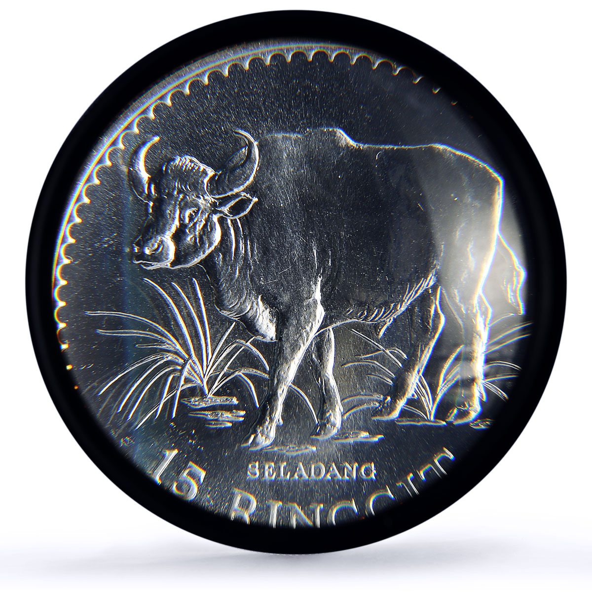 Malaysia 15 ringgit Gaur Bull Conservation Fauna MS68 PCGS silver coin 1976