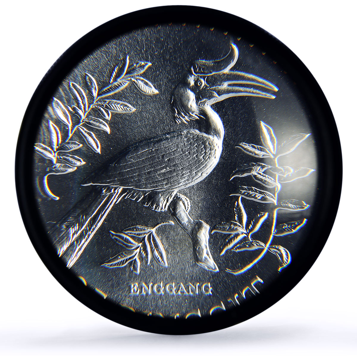 Malaysia 25 ringgit Hornbill Bird Conservation Fauna MS68 PCGS silver coin 1976