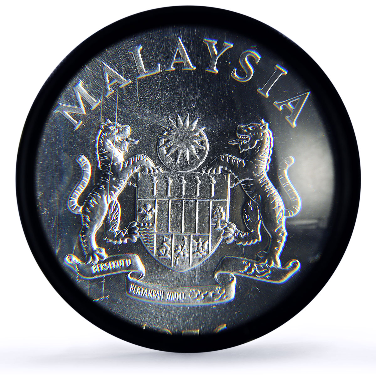 Malaysia 25 ringgit Hornbill Bird Conservation Fauna MS68 PCGS silver coin 1976