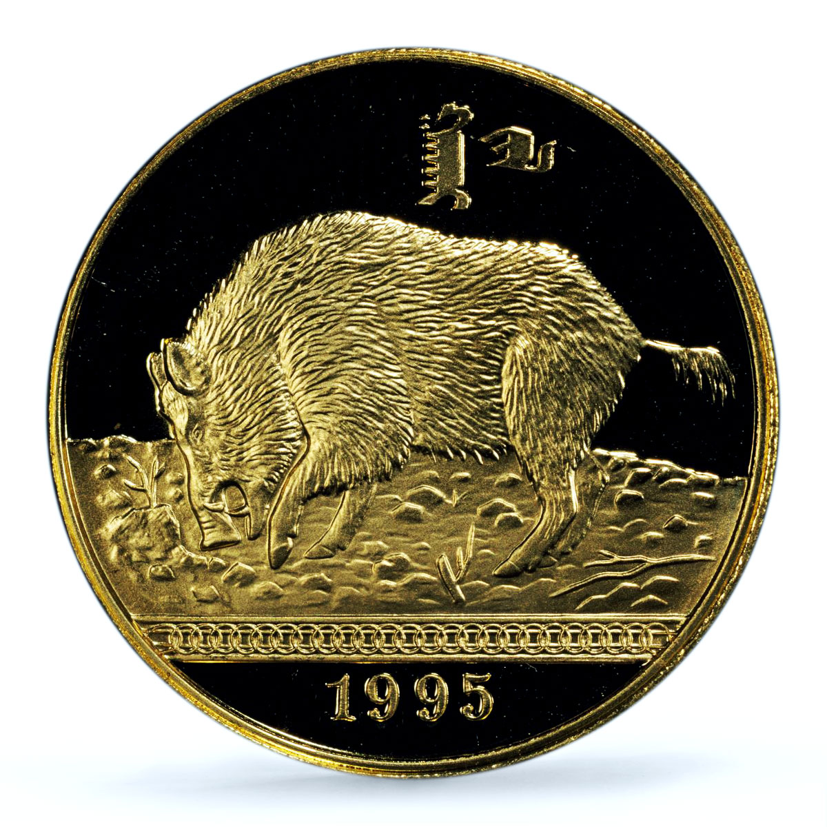 Mongolia 1000 togrog Year of the Pig Lunar Calendar PR 70 PCGS gold coin 1995