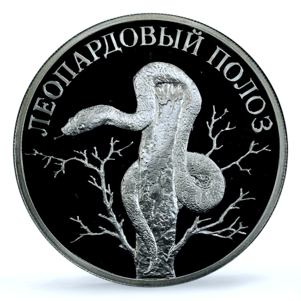 Russia 1 rouble Leopard Runner Snake Red Book Fauna PR 69 PCGS silver coin 2000