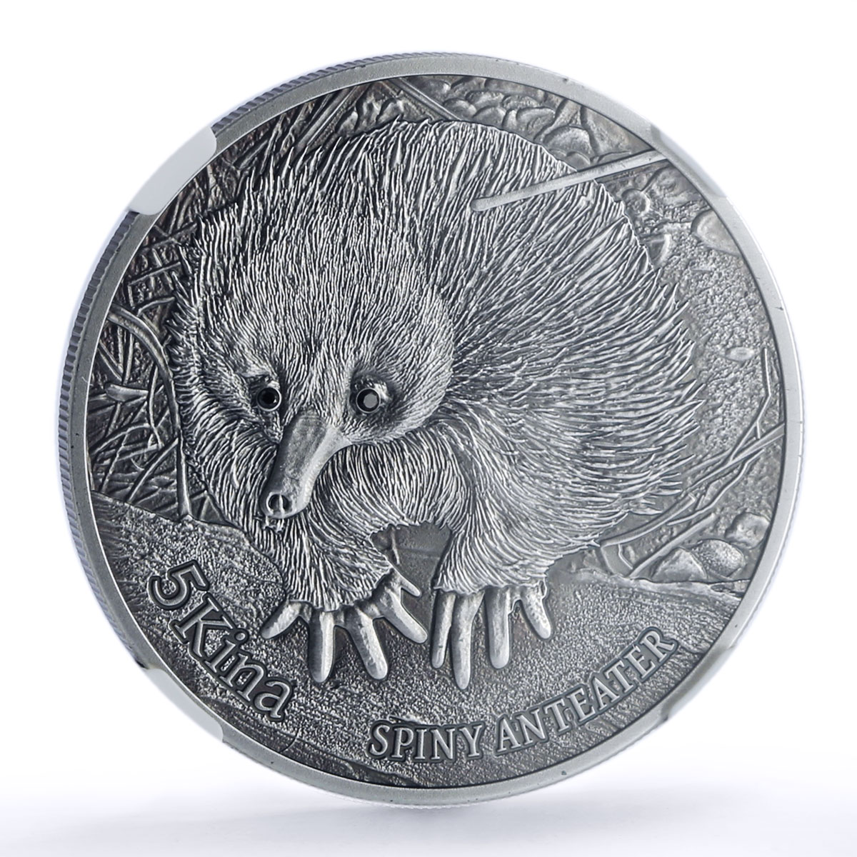 Papua New Guinea 5 kina Spiny Anteater Wildlife Fauna MS70 NGC silver coin 2012