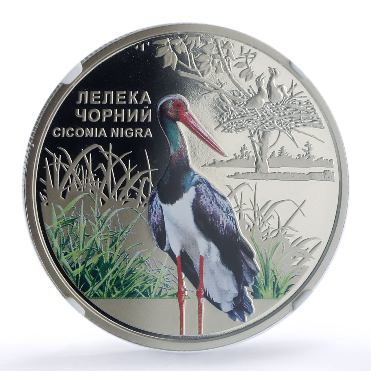Ukraine 5 hryvnias Black Stork Chornobyl Reserve Bird Fauna MS69 NGC coin 2024