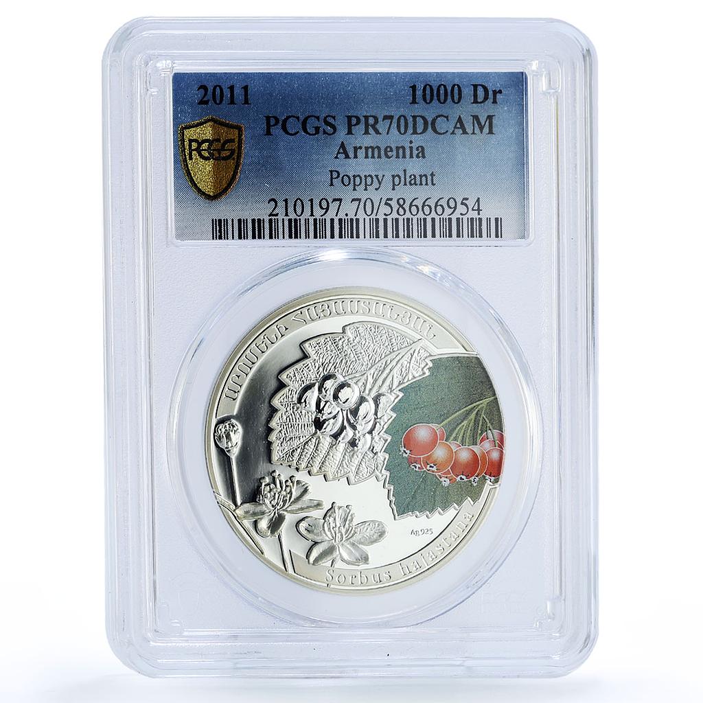 Armenia 1000 dram Sorbus Rowan Flower Plant Flora PR 70 PCGS silver coin 2011