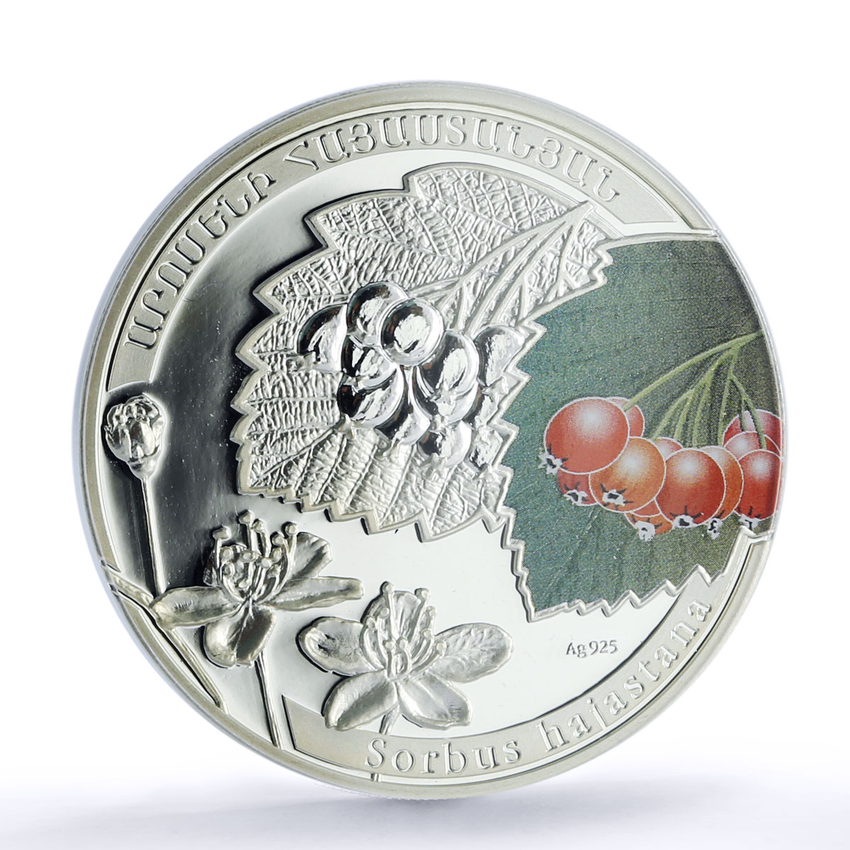 Armenia 1000 dram Sorbus Rowan Flower Plant Flora PR 70 PCGS silver coin 2011