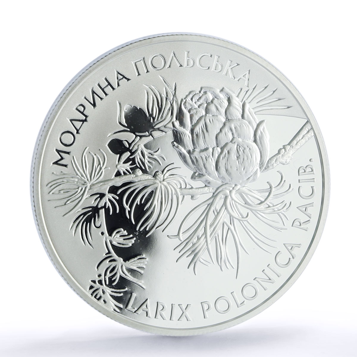 Ukraine 10 hryvnias Larix Polonica Polish Larch PR 69 PCGS silver coin 2001