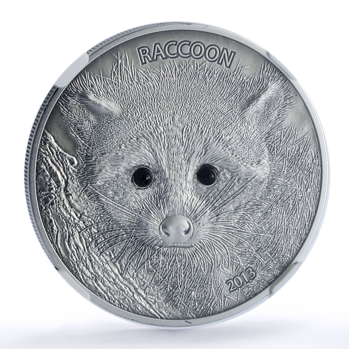 Vanuatu 50 vatu Raccoon Forest Animals Fauna PF70 NGC silver coin 2013