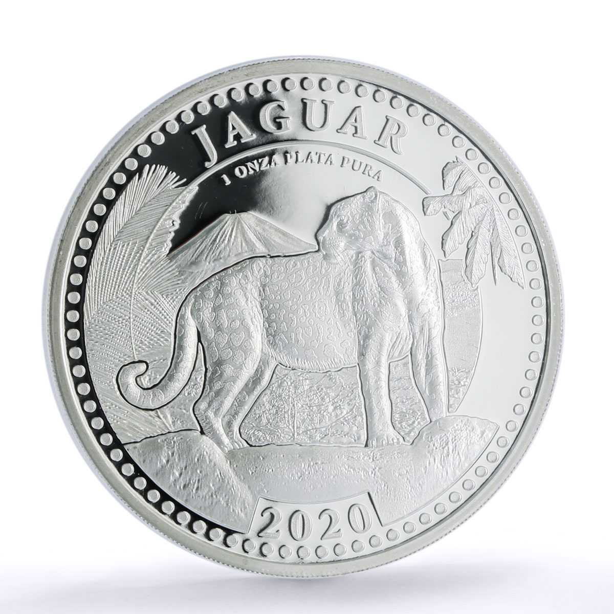 Nicaragua 10 cordobas Jaguar Cat Wildlife Fauna PR 70 PCGS silver coin 2020