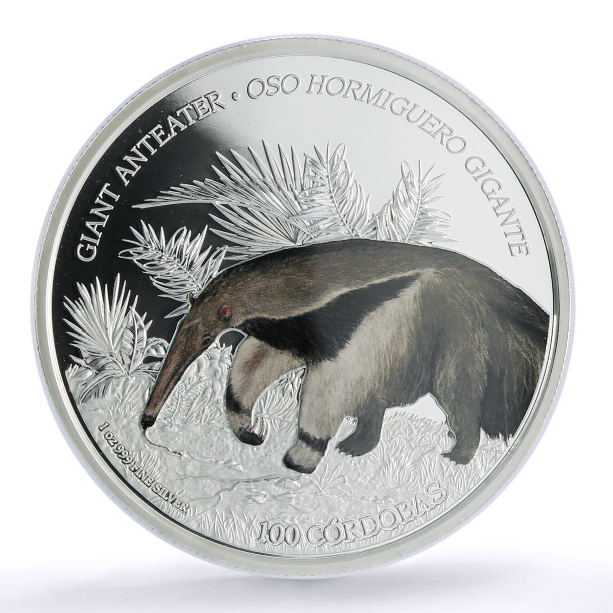Nicaragua 100 cordobas Giant Anteater Wildlife Fauna PR 70 PCGS silver coin 2018