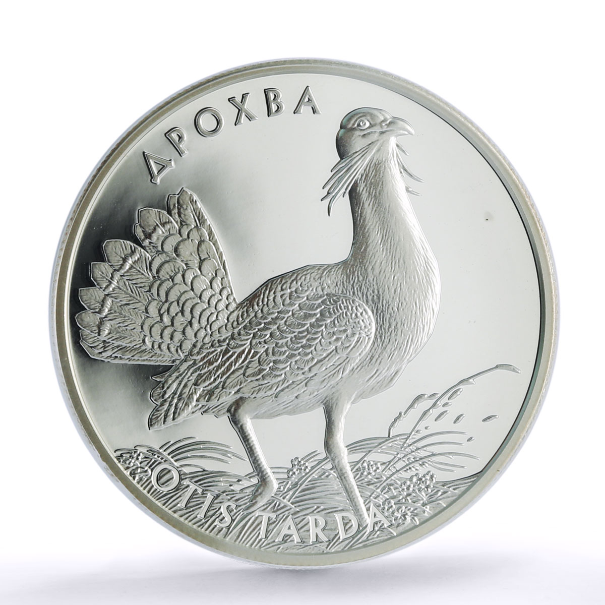 Ukraine 10 hryvnias Otis Tarda Bustard Bird Fauna PR 69 PCGS silver coin 2013