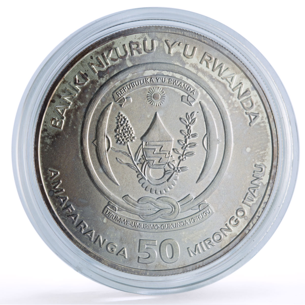 Rwanda 50 francs Lion African Ounce Wildlife Fauna Matte silver coin 2010