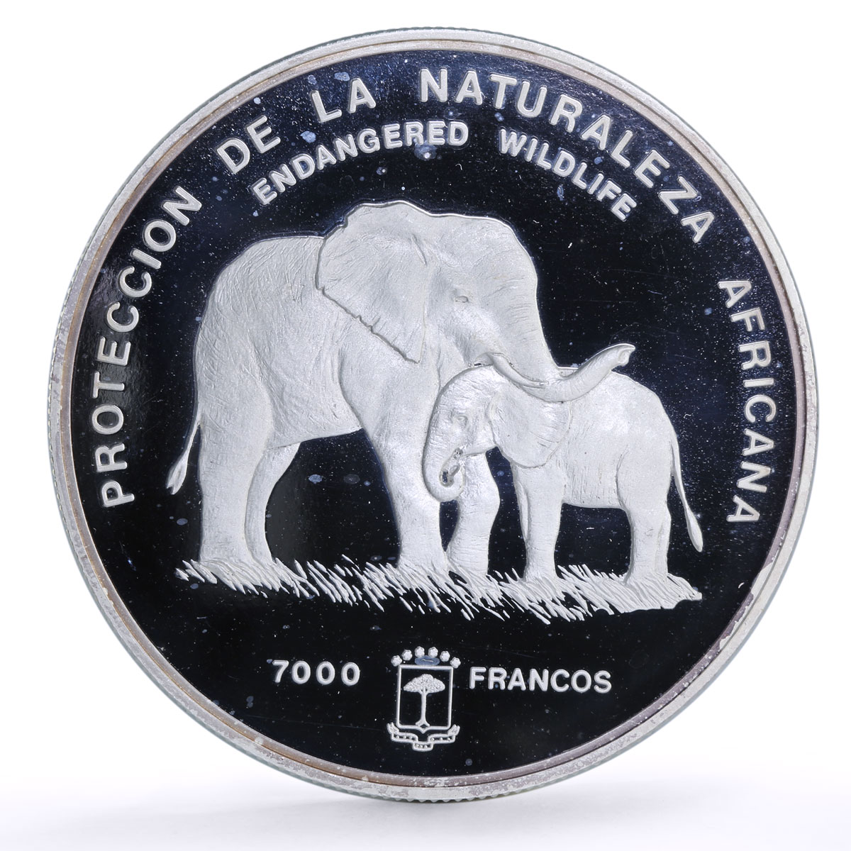 Equatorial Guinea 7000 francs Elephant Wildlife 5 oz proof silver coin 1995