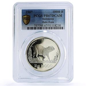 Indonesia 10000 rupiah Pig Boar Conservation Fauna PR67 PCGS silver coin 1987