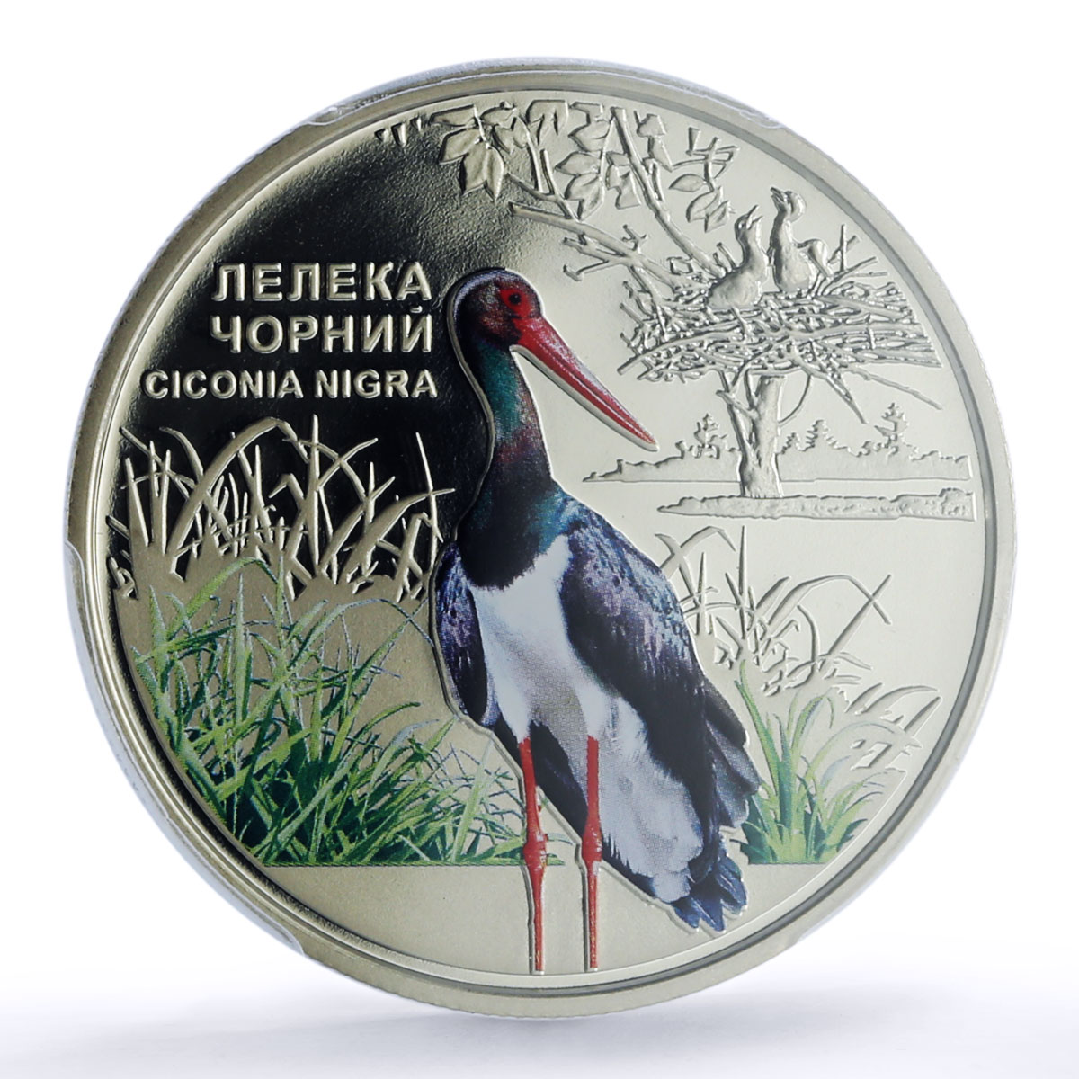 Ukraine 5 hryvnias Black Stork Chornobyl Reserve Bird Fauna MS 70 PCGS coin 2024