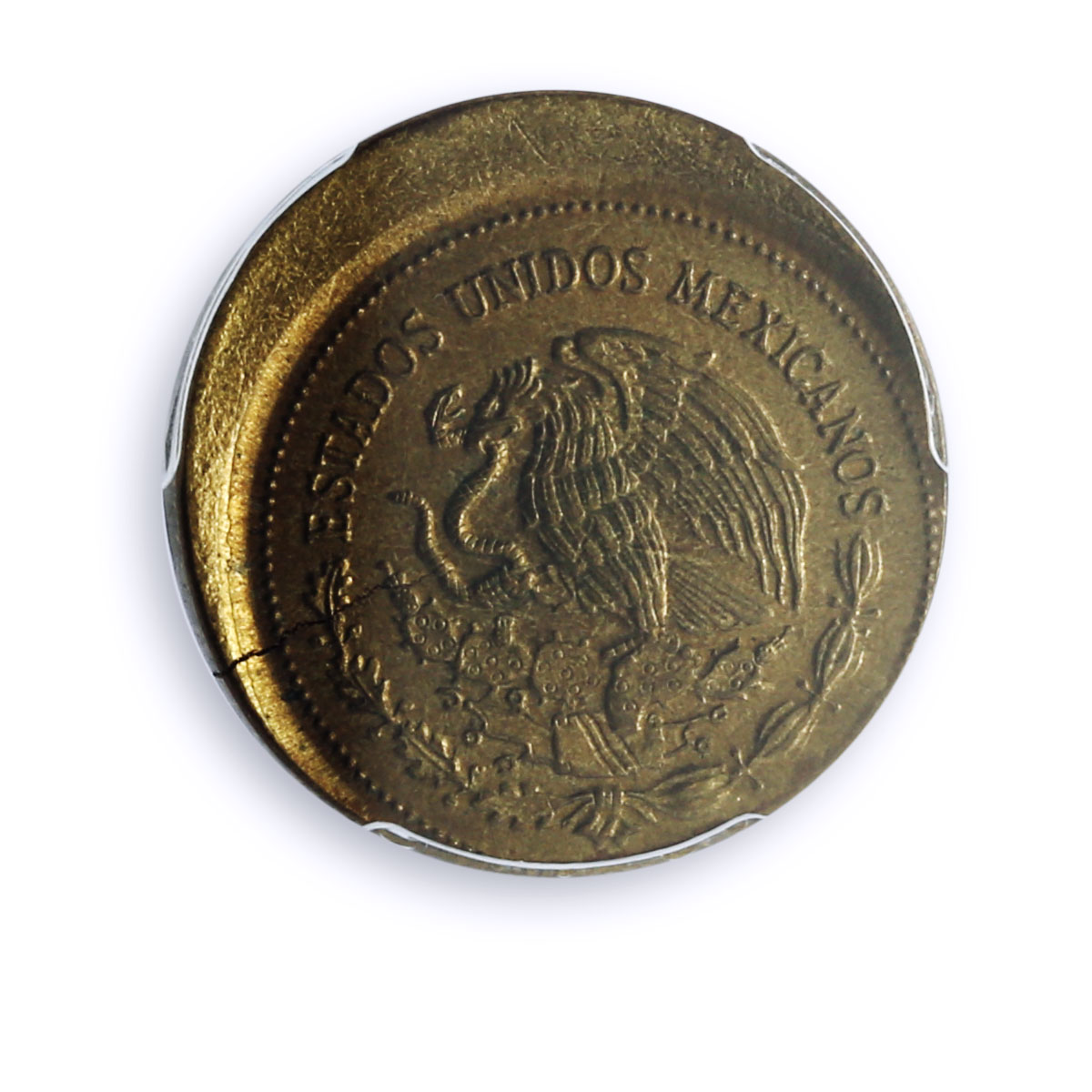 Mexico 20 pesos Republic G. Victoria Error Struck MS65 PCGS brass coin 1985