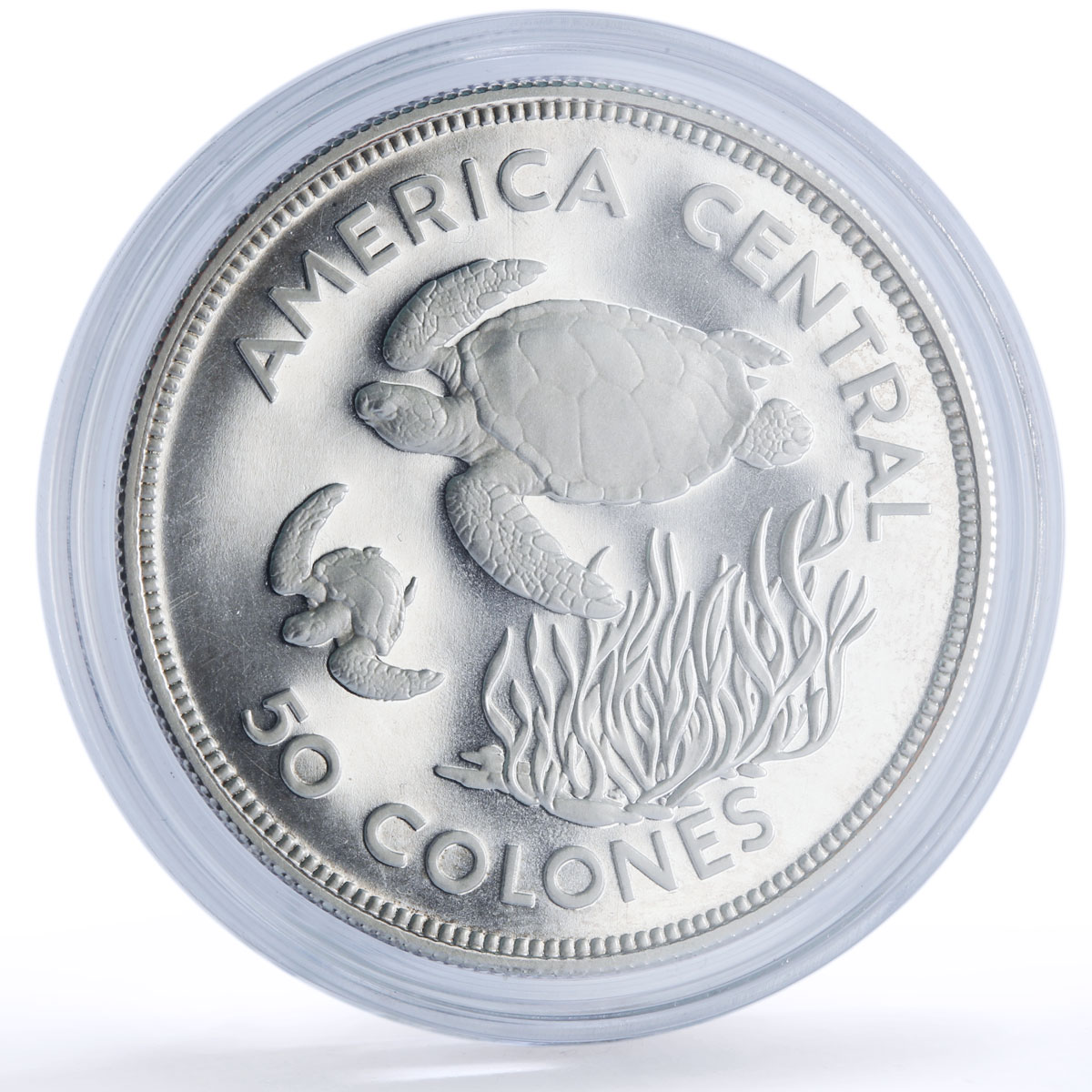 Costa Rica 50 colones Green Turtle Conservation KM-200a proof silver coin 1974