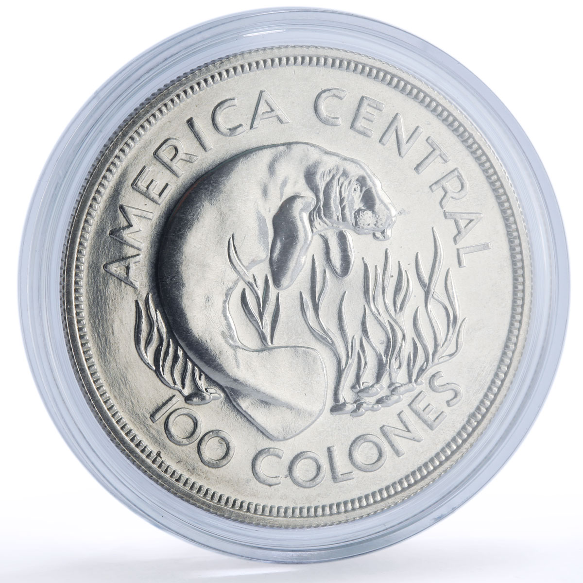 Costa Rica 100 colones Manatee Conservation KM-201 Fauna silver coin 1974