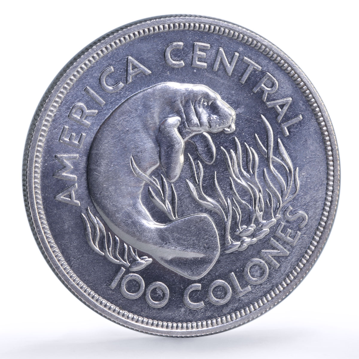 Costa Rica 100 colones Manatee Conservation KM-201 Fauna silver coin 1974