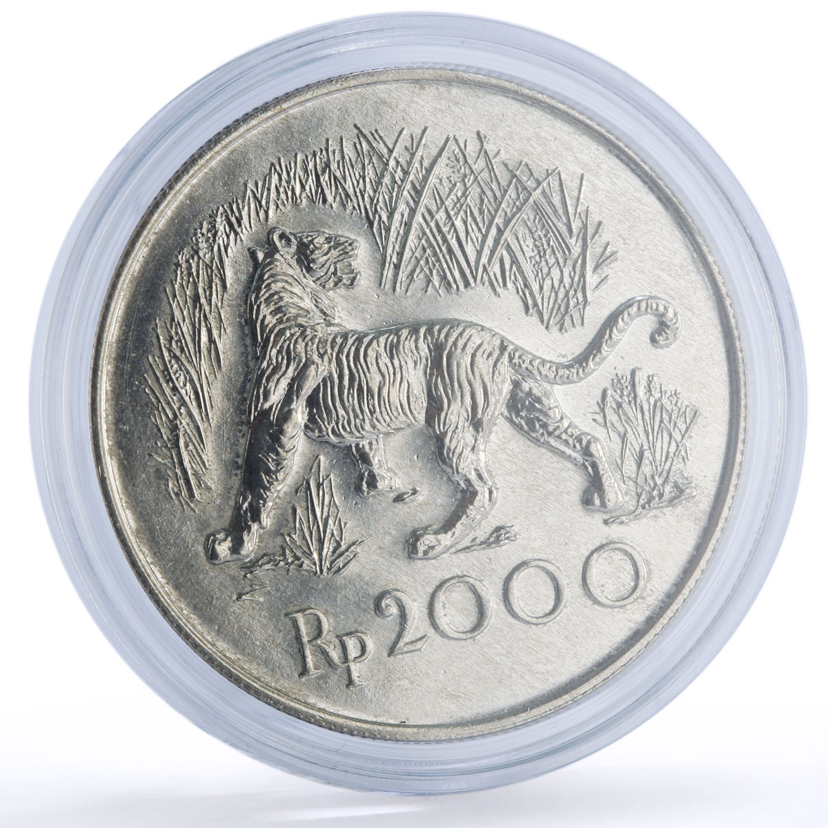 Indonesia 2000 rupiah Javan Tiger Conservation KM-39 Cat Fauna silver coin 1974