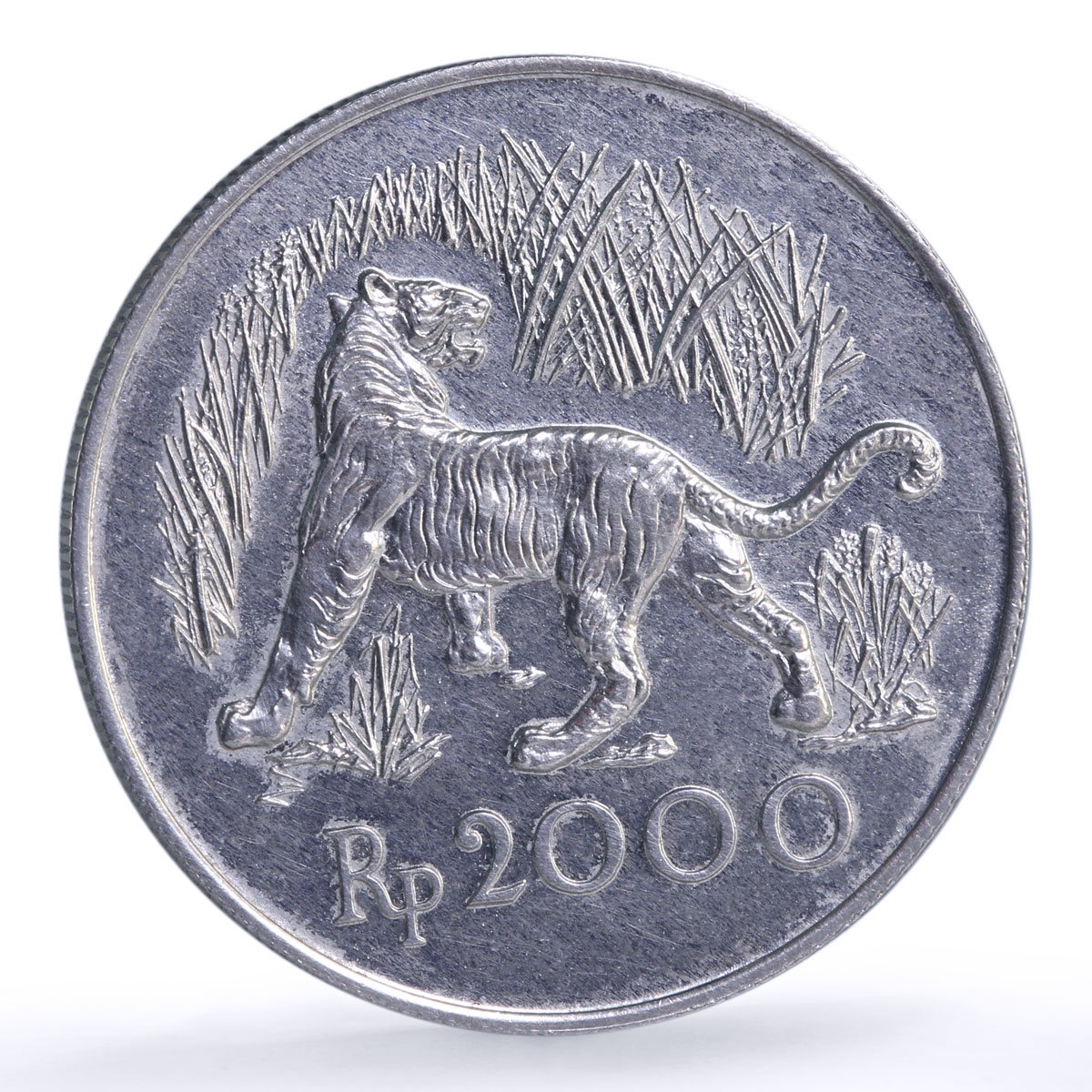 Indonesia 2000 rupiah Javan Tiger Conservation KM-39 Cat Fauna silver coin 1974
