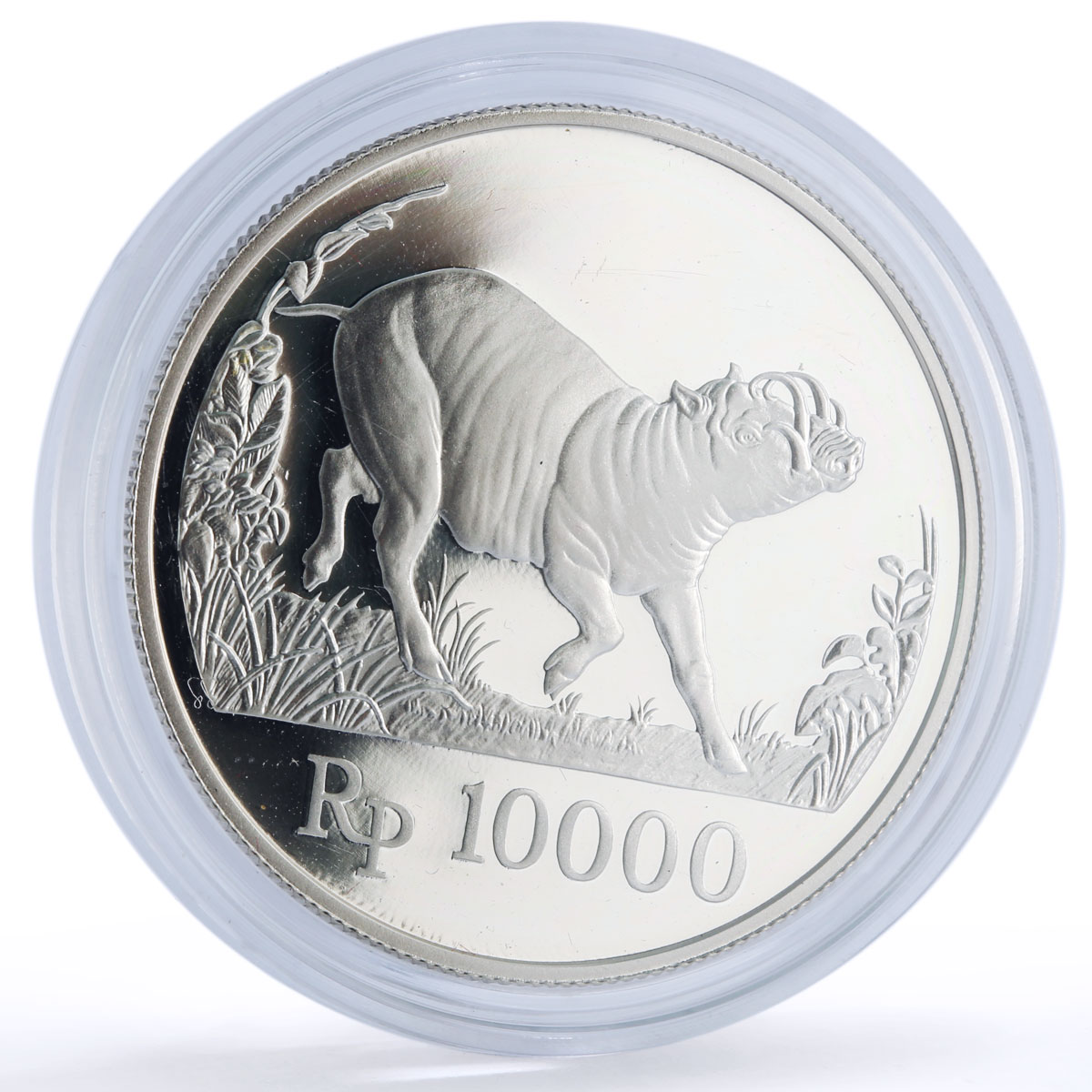 Indonesia 10000 rupiah Babi Rusa Wildlife KM-45 Pig Fauna proof silver coin 1987