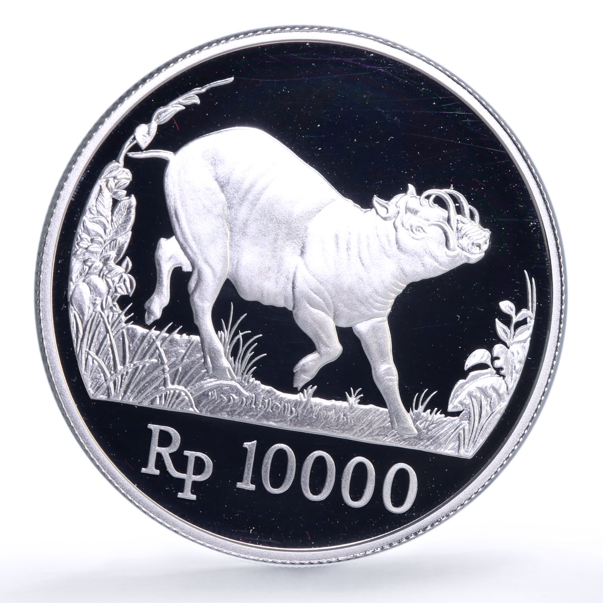 Indonesia 10000 rupiah Babi Rusa Wildlife KM-45 Pig Fauna proof silver coin 1987