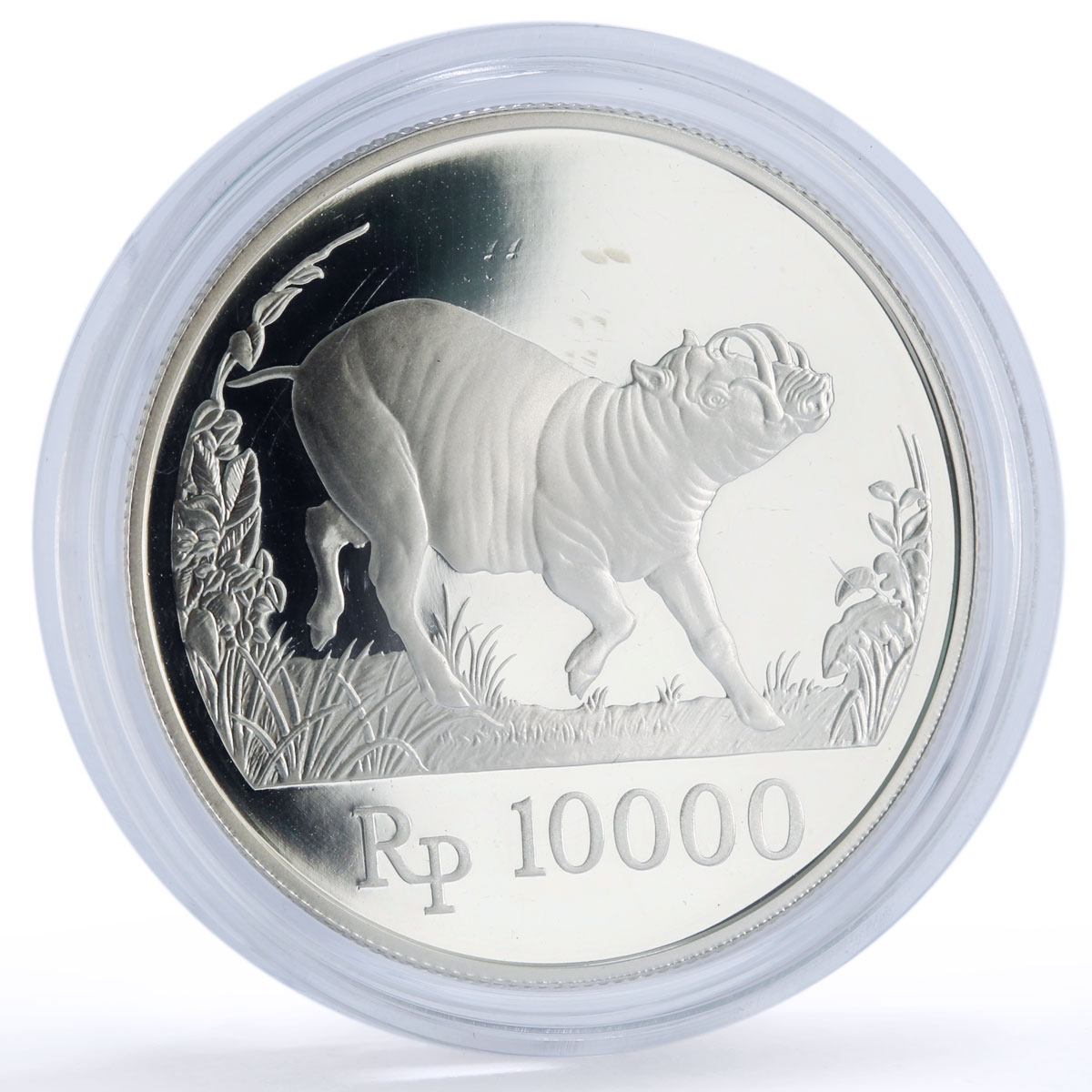 Indonesia 10000 rupiah Babi Rusa Wildlife KM-45 Pig Fauna proof silver coin 1987