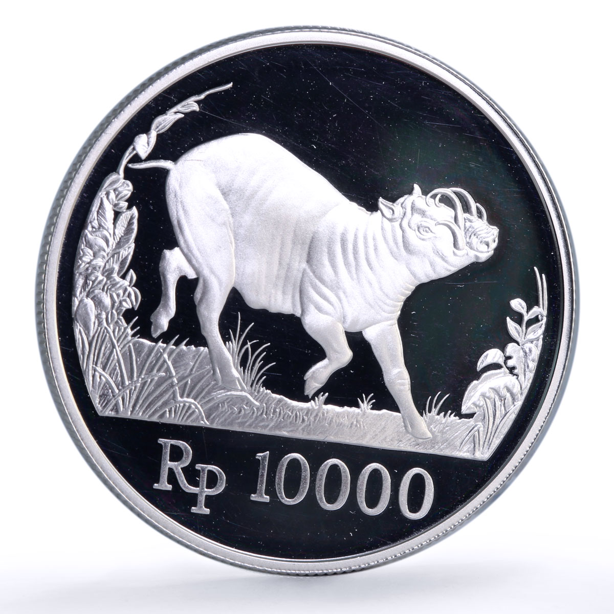 Indonesia 10000 rupiah Babi Rusa Wildlife KM-45 Pig Fauna proof silver coin 1987