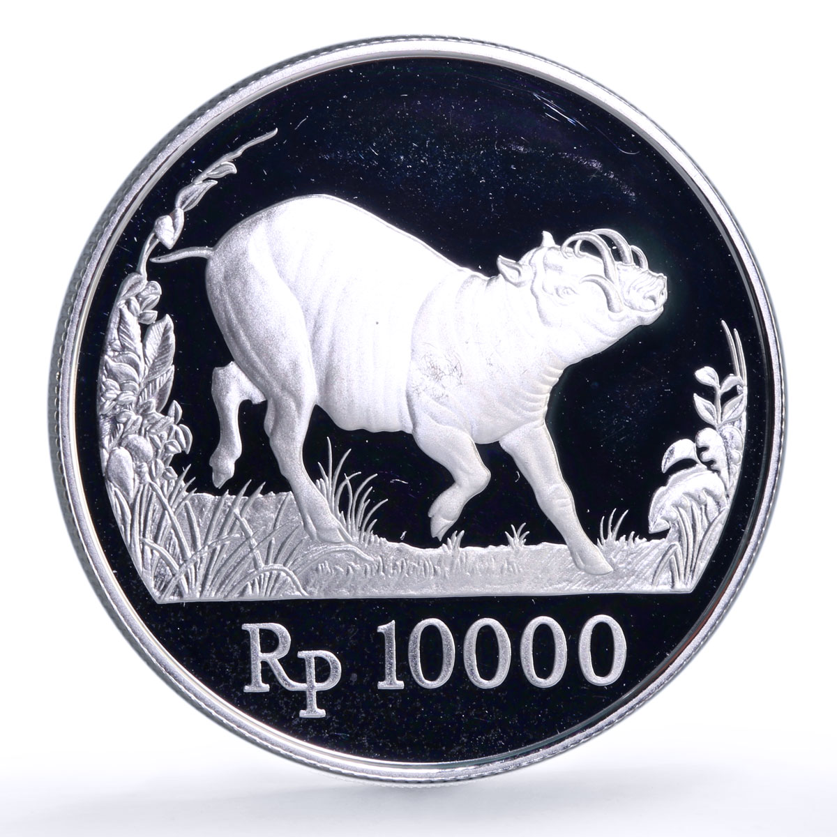 Indonesia 10000 rupiah Babi Rusa Wildlife KM-45 Pig Fauna proof silver coin 1987