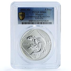 Mexico 5 pesos Nutria Otter KM-656 Wildlife Fauna MS 66 PCGS silver coin 2000