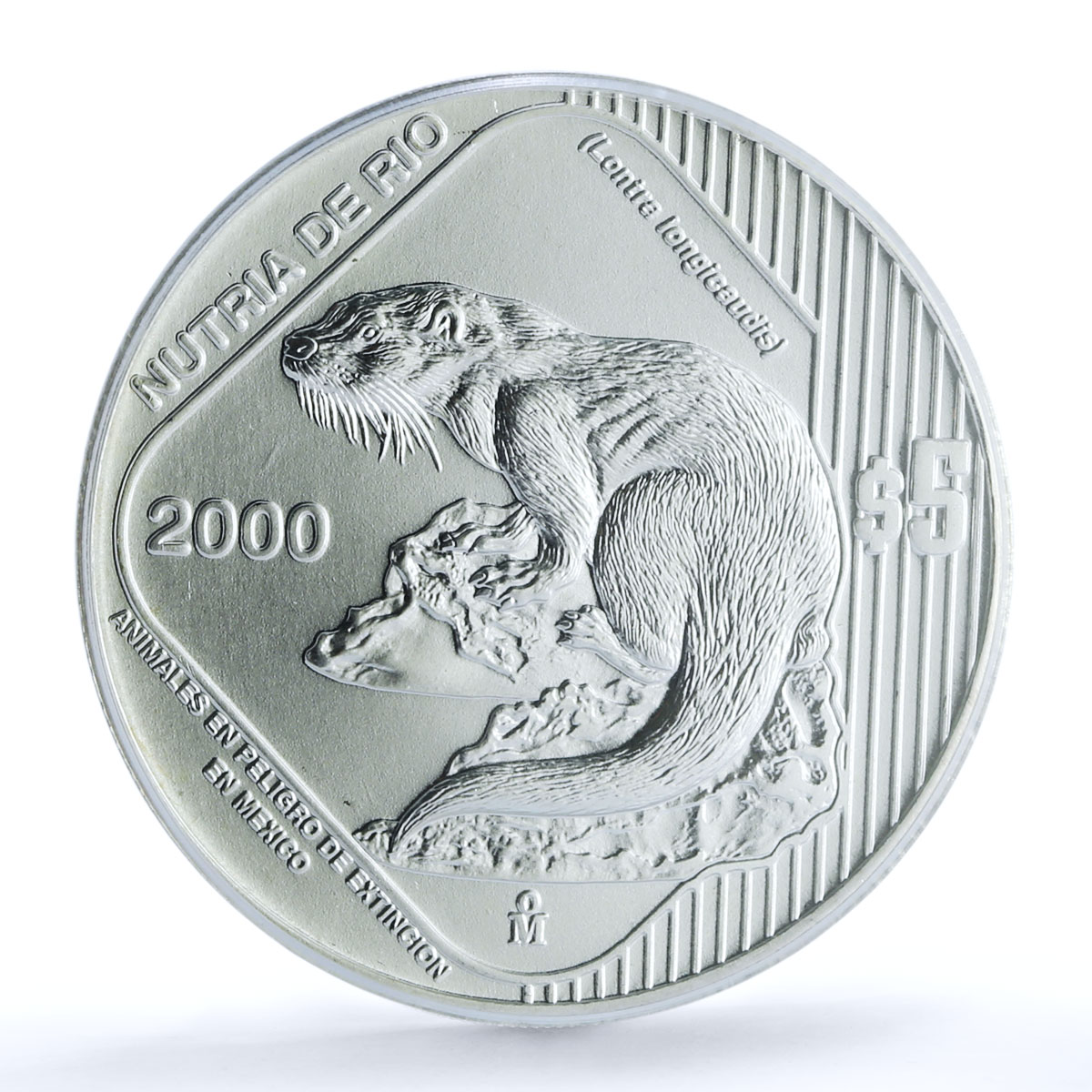 Mexico 5 pesos Nutria Otter KM-656 Wildlife Fauna MS 66 PCGS silver coin 2000 Mexico 5 pesos Nutria Otter KM-656 Wildlife Fauna MS 66 PCGS silver coin 2000