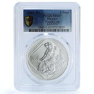 Mexico 5 pesos Prairie Dog KM-659 Wildlife Fauna MS 67 PCGS silver coin 2001