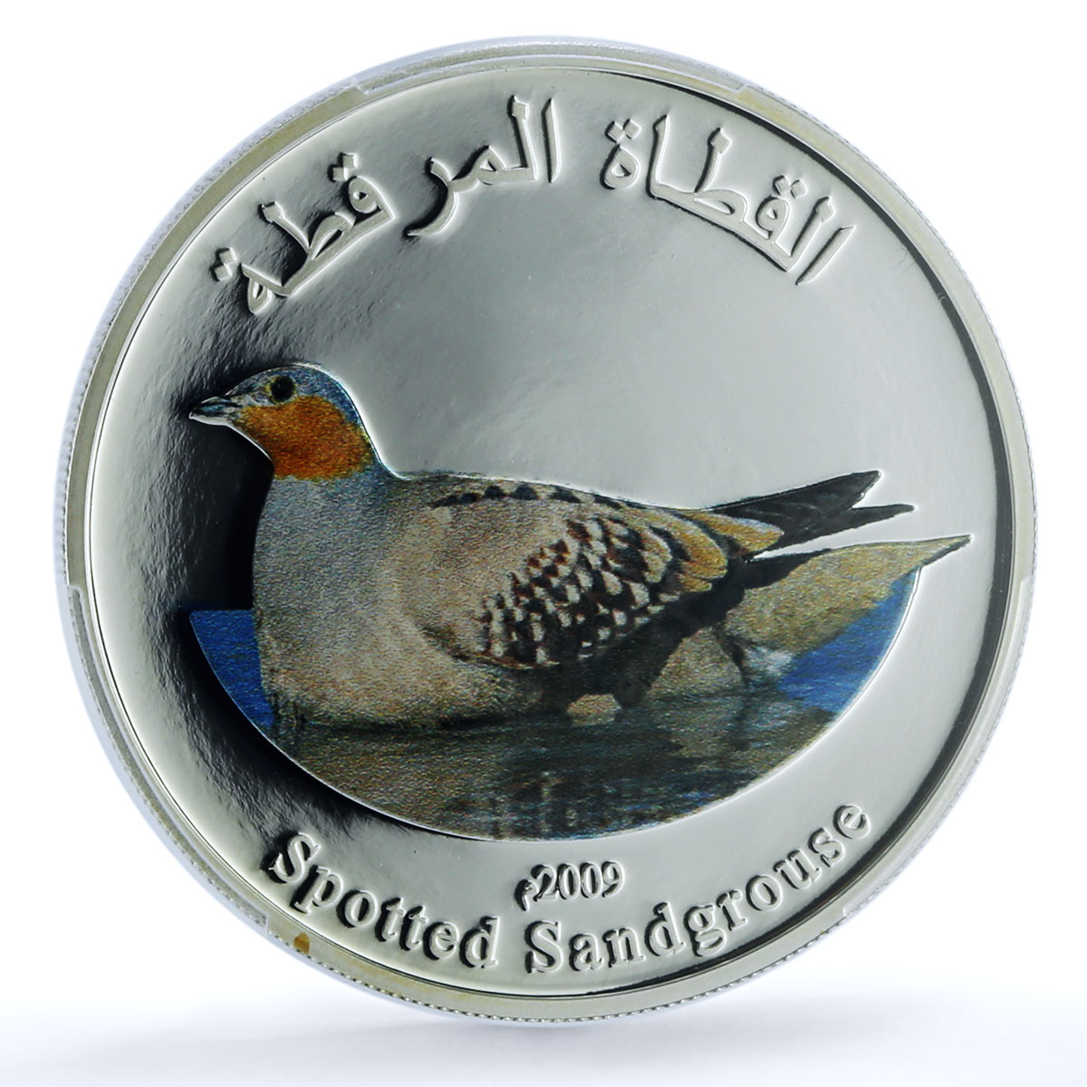 Oman 1 rial Spotted Sandgrouse KM-190 Bird Fauna PR 69 PCGS silver coin 2009 Oman 1 rial Spotted Sandgrouse KM-190 Bird Fauna PR 69 PCGS silver coin 2009