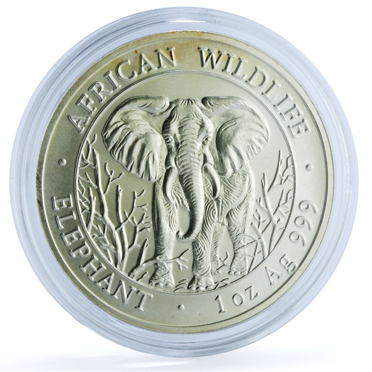Somalia 1000 shillings Elephant KM-183 African Wildlife Bullion silver coin 2004