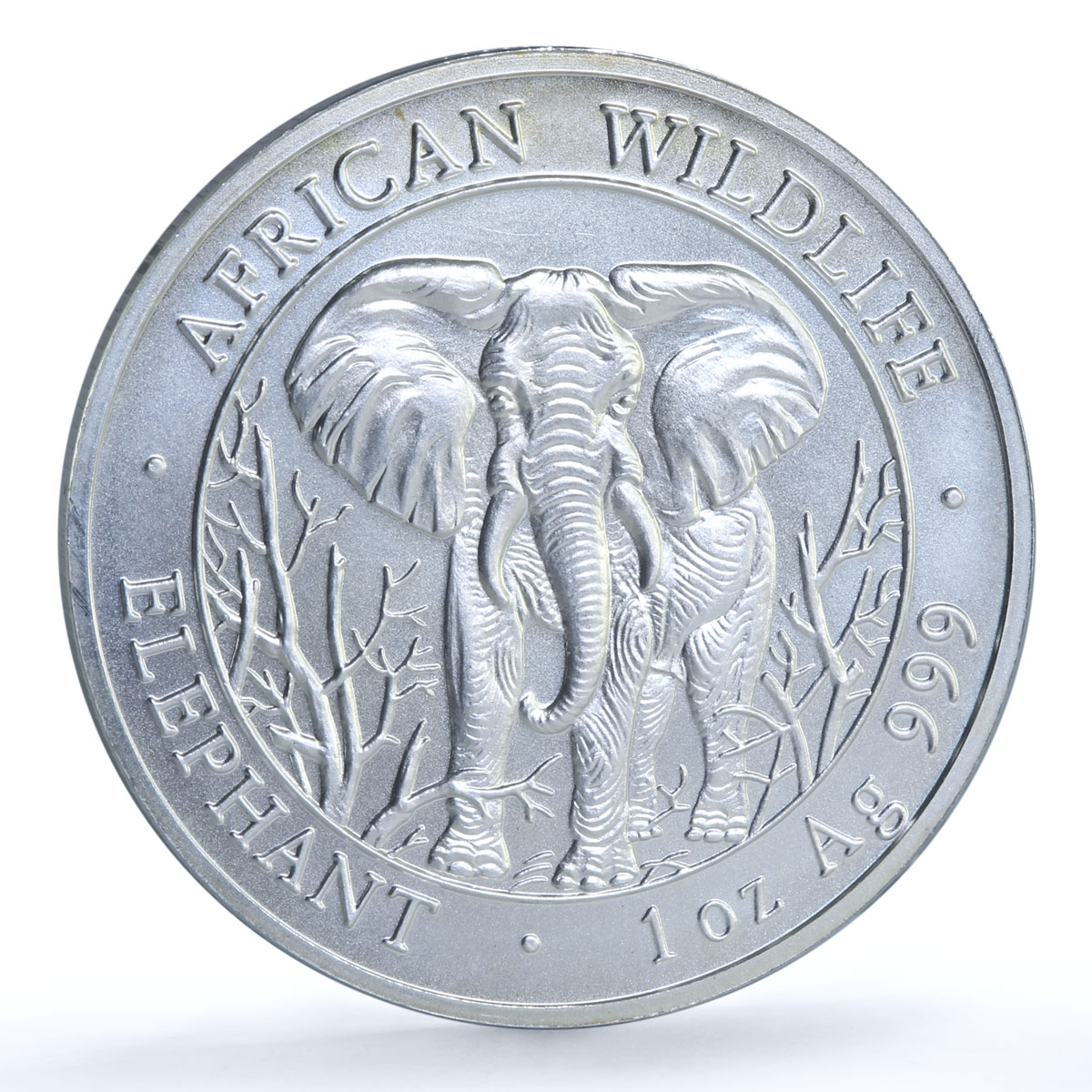 Somalia 1000 shillings Elephant KM-183 African Wildlife Bullion silver coin 2004