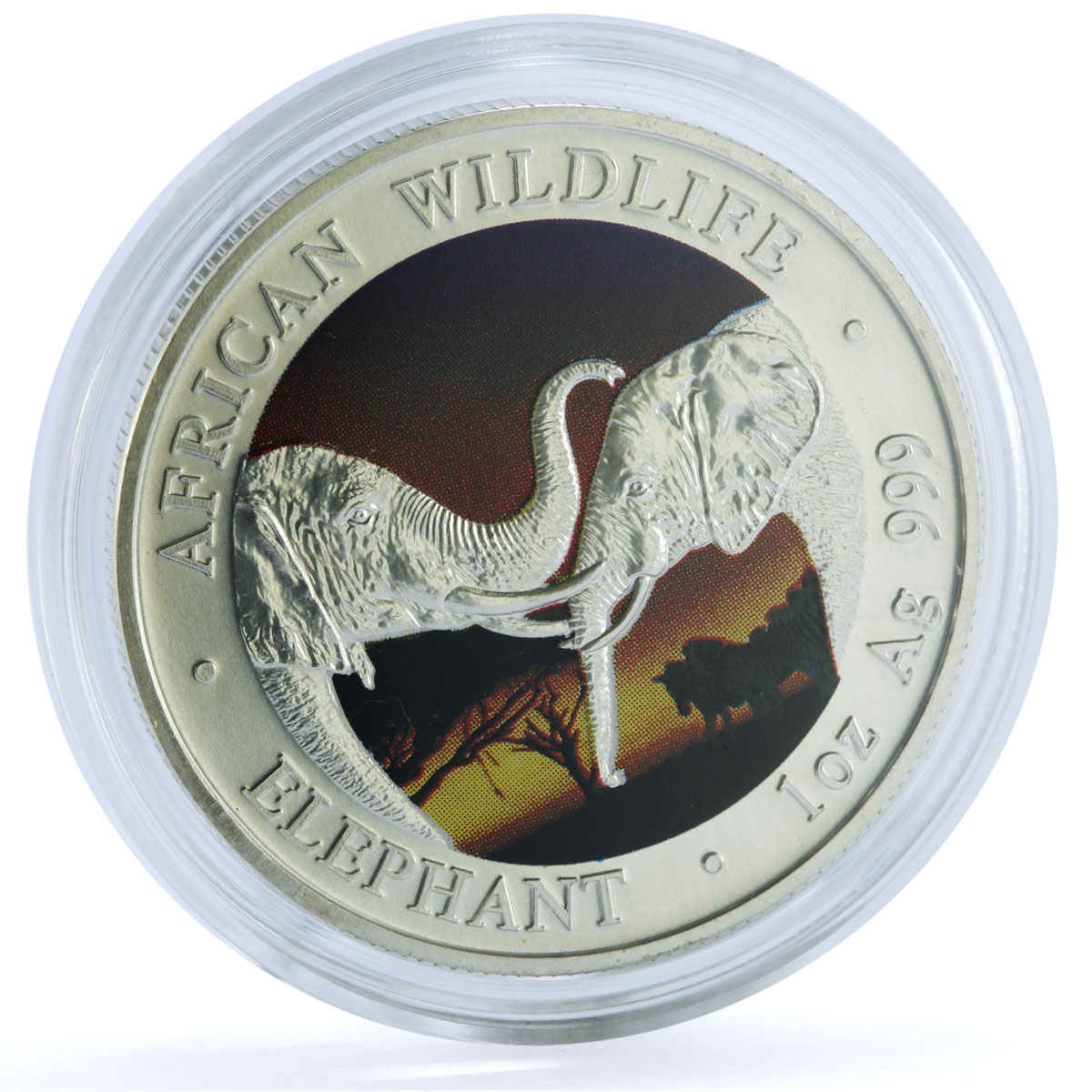 Zambia 5000 kwacha Elephant Colorized KM-142 Wildlife Bullion silver coin 2002